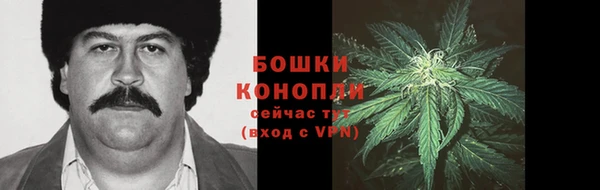 шишки Балахна