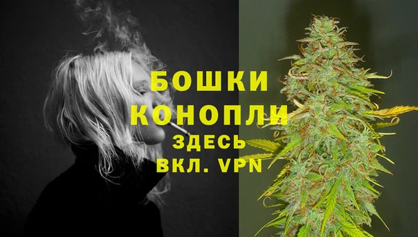 шишки Балахна