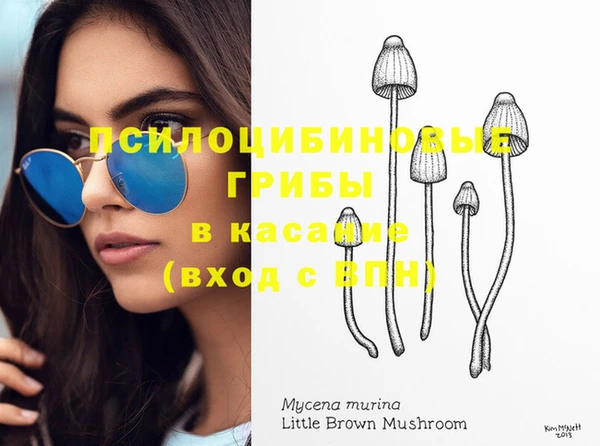 индика Балабаново