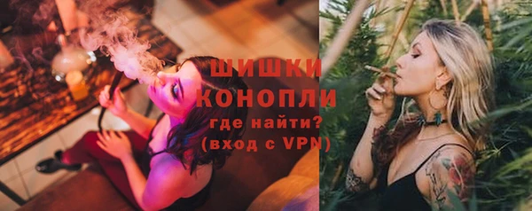 шишки Балахна