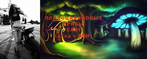 индика Балабаново