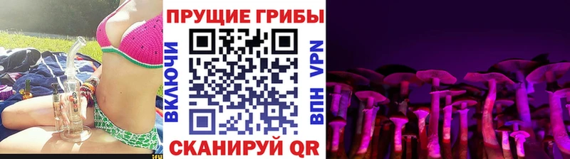 где купить наркоту  кракен   сайты даркнета телеграм  Полесск  Псилоцибиновые грибы Cubensis 
