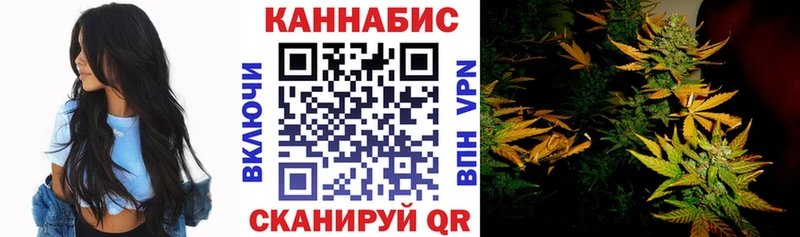 как найти Полесск Канабис White Widow